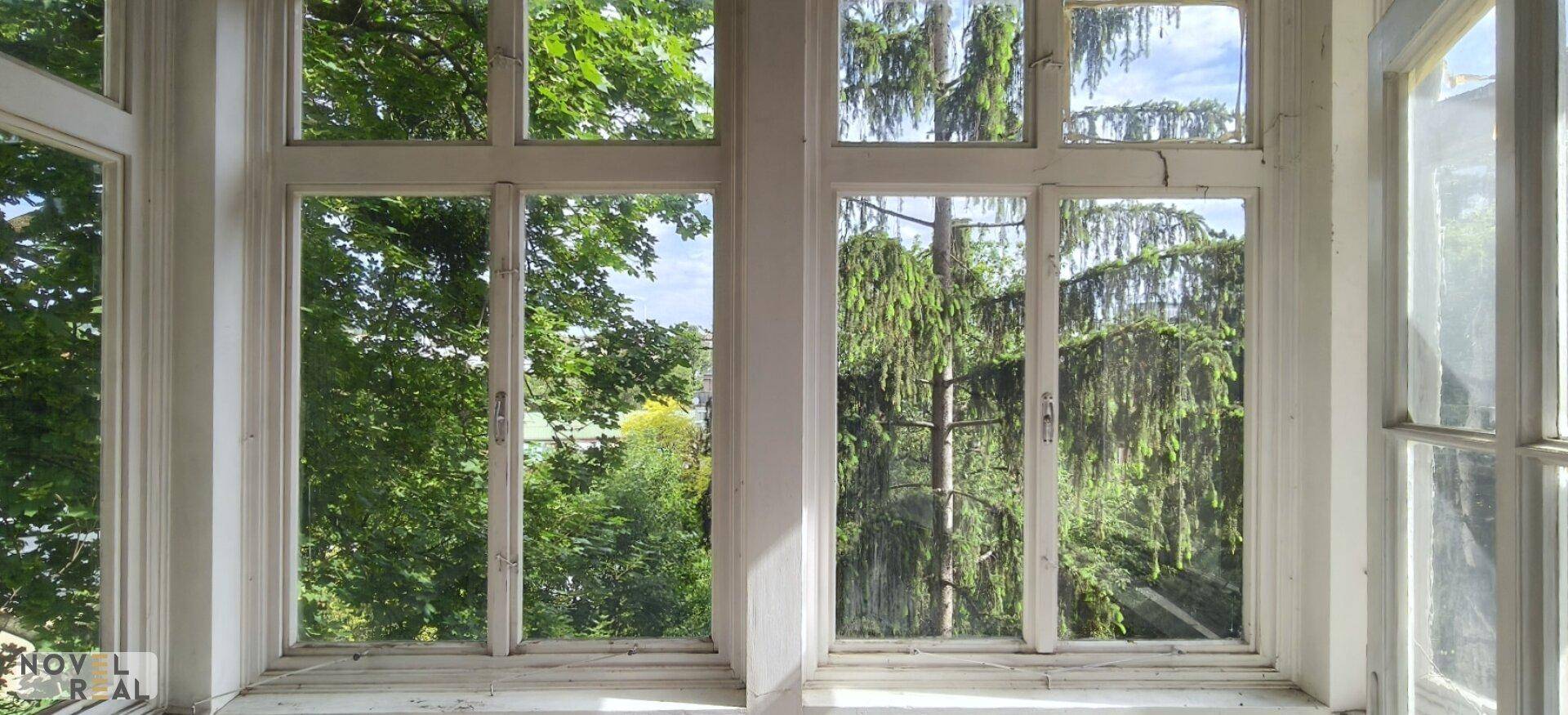Blick aus dem Fenster auf üppiges Grün und hohe Bäume, der viel natürliches Licht hereinlässt.