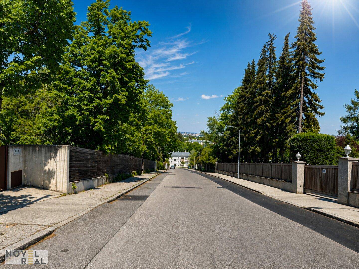 Ruhige Wohnstraße mit Bäumen und Häusern im Hintergrund unter blauem Himmel.