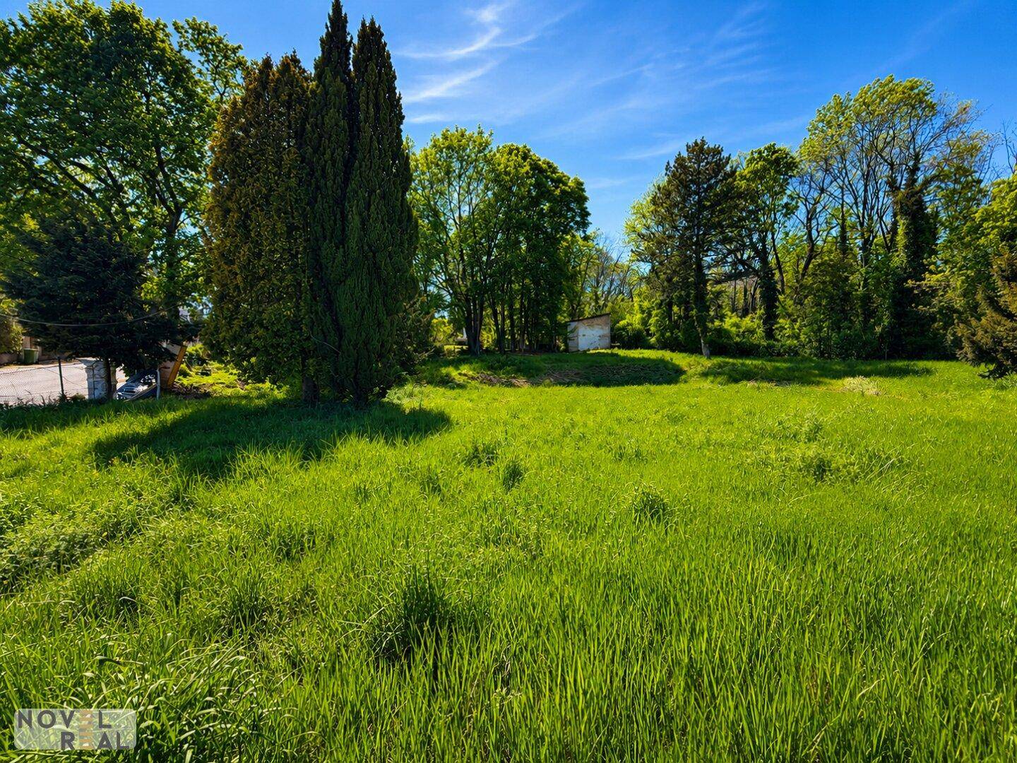 Weitläufige grüne Wiese mit Bäumen im Hintergrund unter blauem Himmel und Sonnenschein.