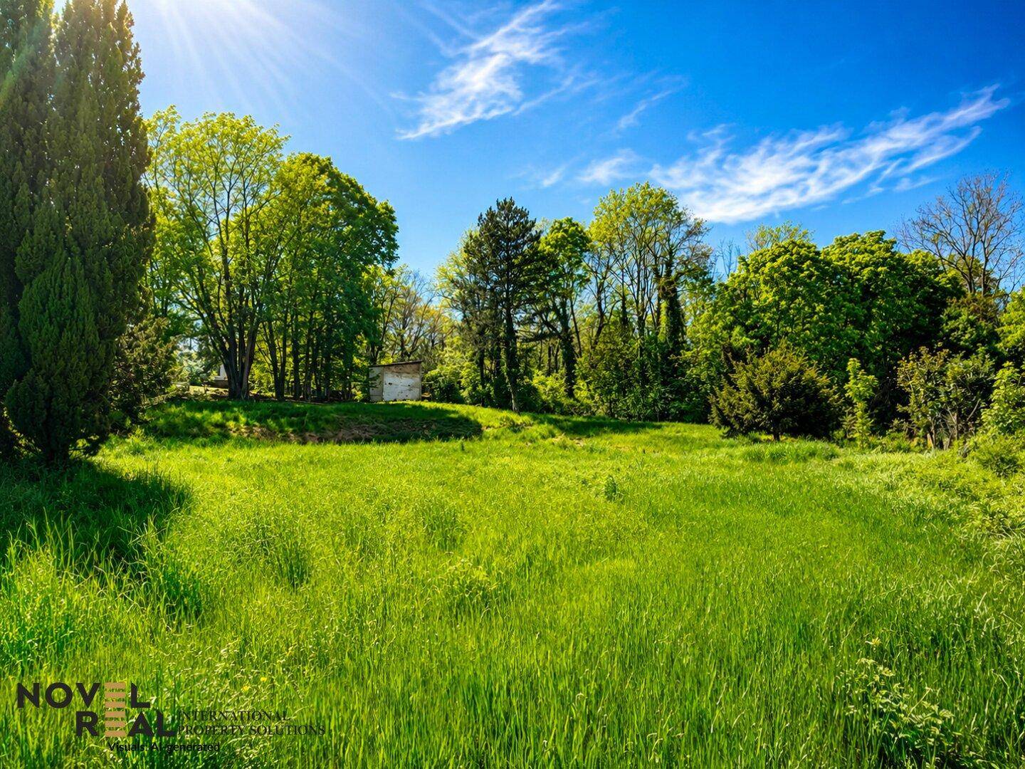 Weitläufige grüne Wiese mit hohem Gras und Bäumen im Hintergrund unter einem klaren blauen Himmel.