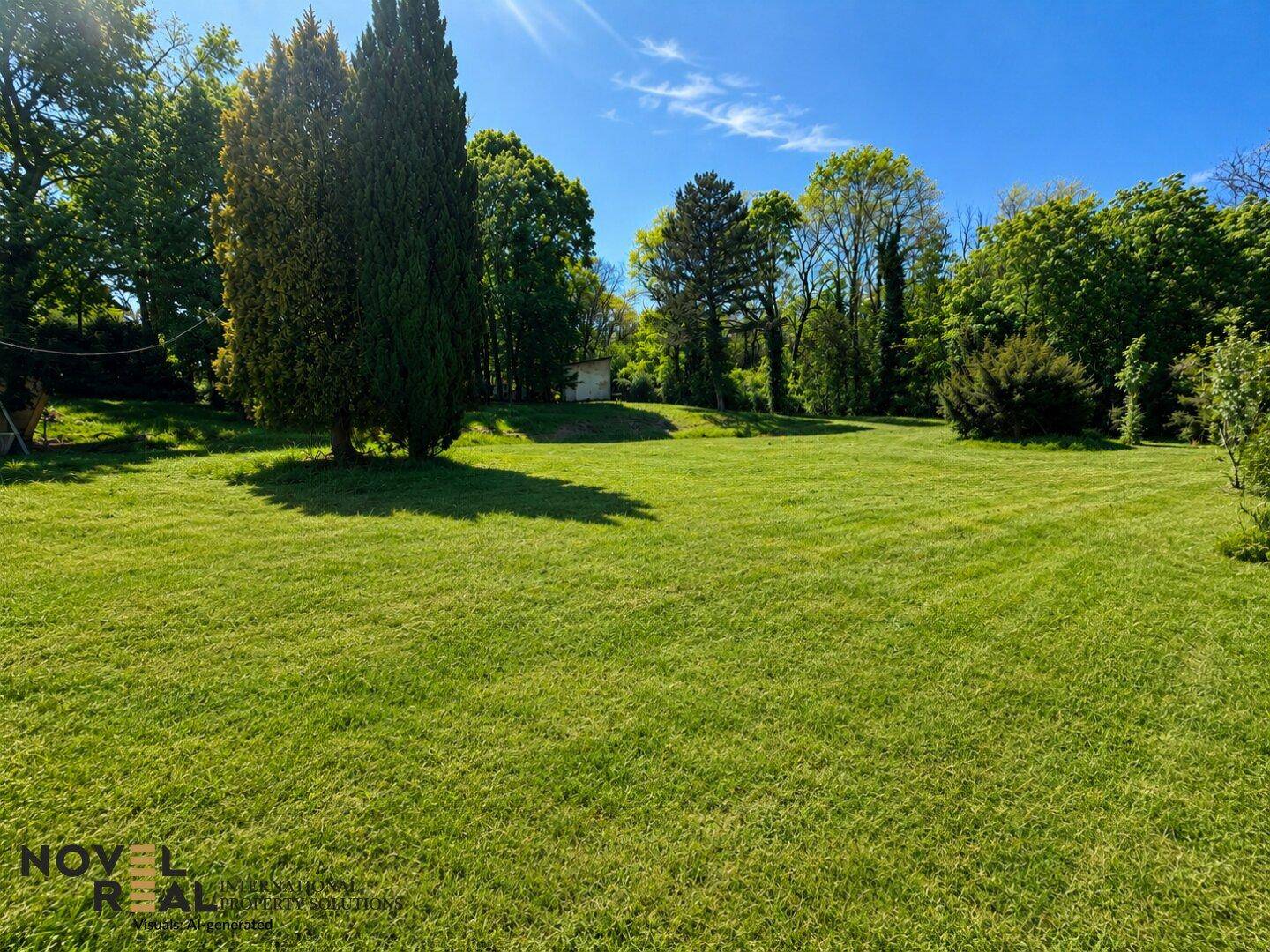 Gepflegte, weitläufige Rasenfläche mit hohen Bäumen im Hintergrund unter einem strahlend blauem Himmel.