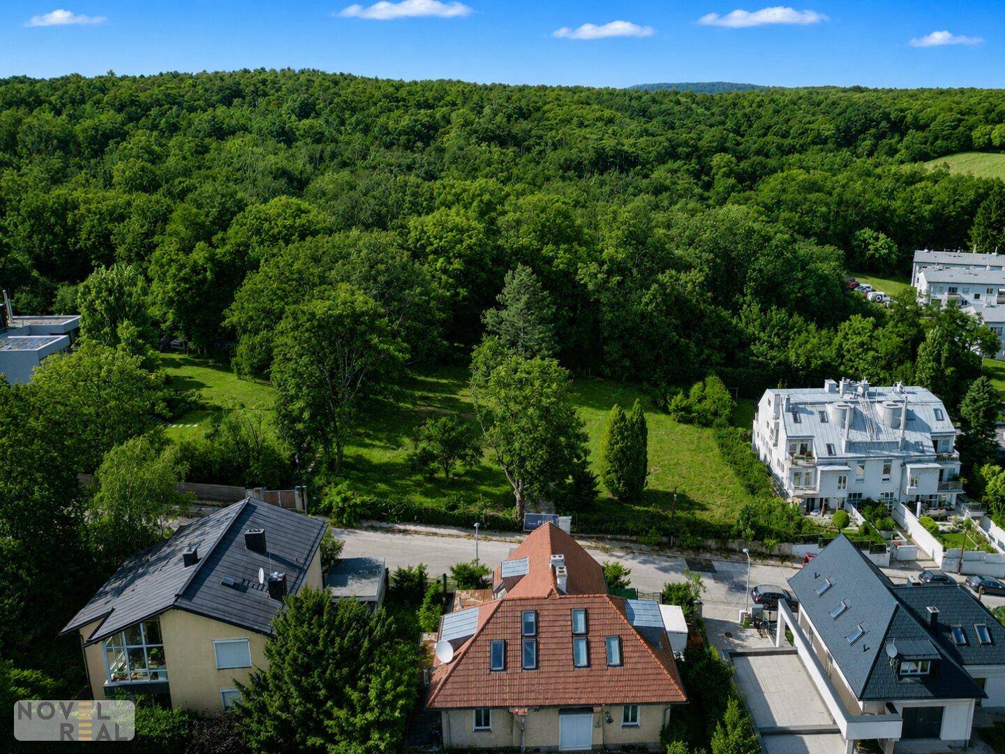 Wohngebiet mit verschiedenen Häusern, großen Gärten und dichtem Wald im Hintergrund an einem sonnigen Tag.