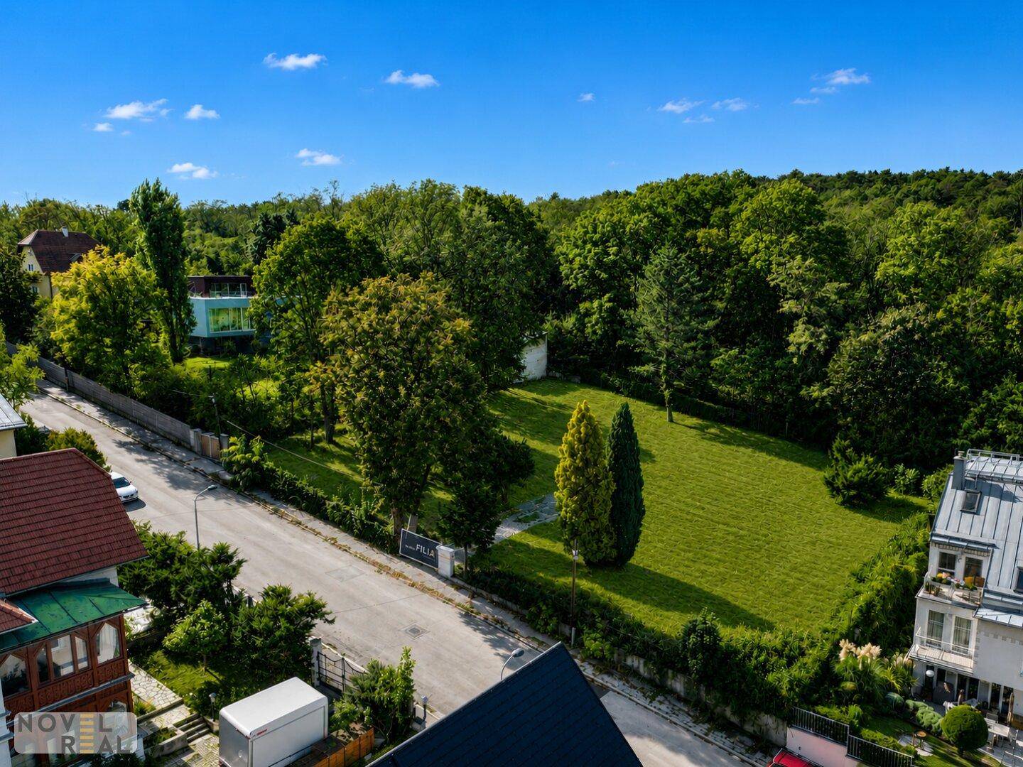 Weitläufiges grünes Grundstück mit Bäumen, angrenzend an eine Straße und umgeben von weiteren Häusern.