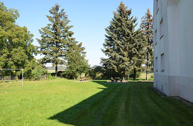 Großer Gemeinschaftsgarten mit hohen Bäumen und Picknicktischen, ideal für Entspannung im Freien.