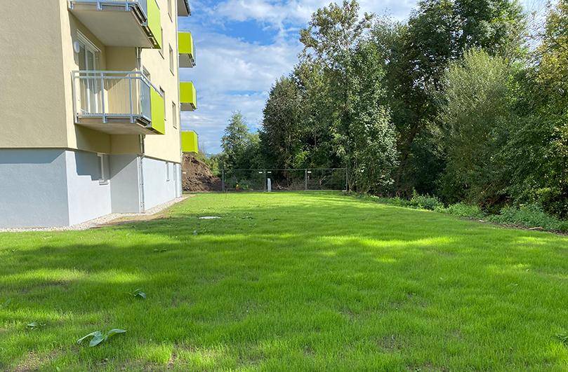 Großer, gepflegter Rasenbereich neben dem Wohngebäude, umgeben von Bäumen und Sträuchern.
