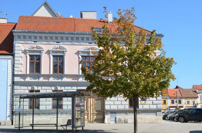 Rosa gestrichenes historisches Gebäude mit einem Baum und einer Bushaltestelle im Vordergrund der Stadtansicht.