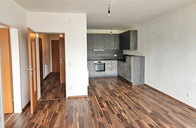 Offener Wohnbereich mit Laminatboden und integrierter Küchenzeile in modernem Design.