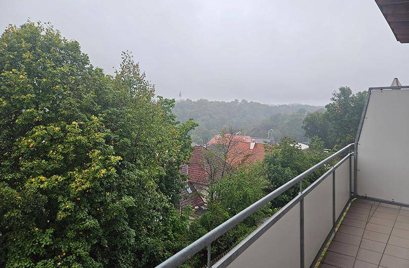 Balkon mit Blick auf grüne Bäume und die Dächer der umliegenden Häuser an einem bewölkten Tag.