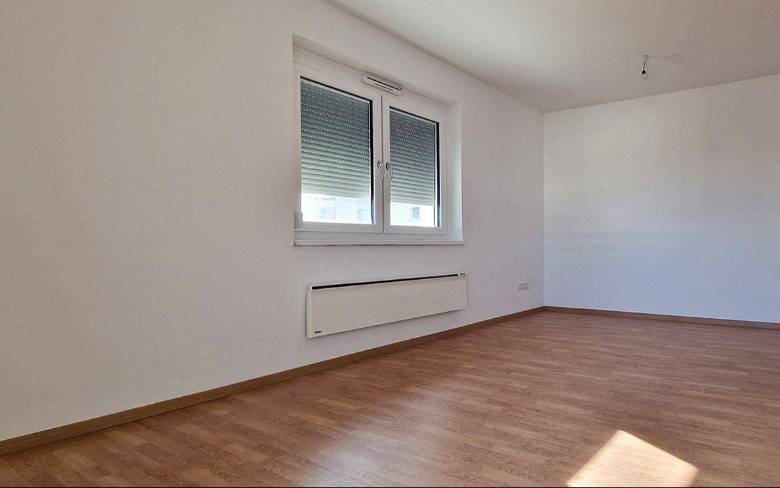Bild zu d712293f-f049-41c8-b991-b7218ac5763e