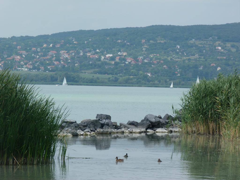 Balatonfuzfo