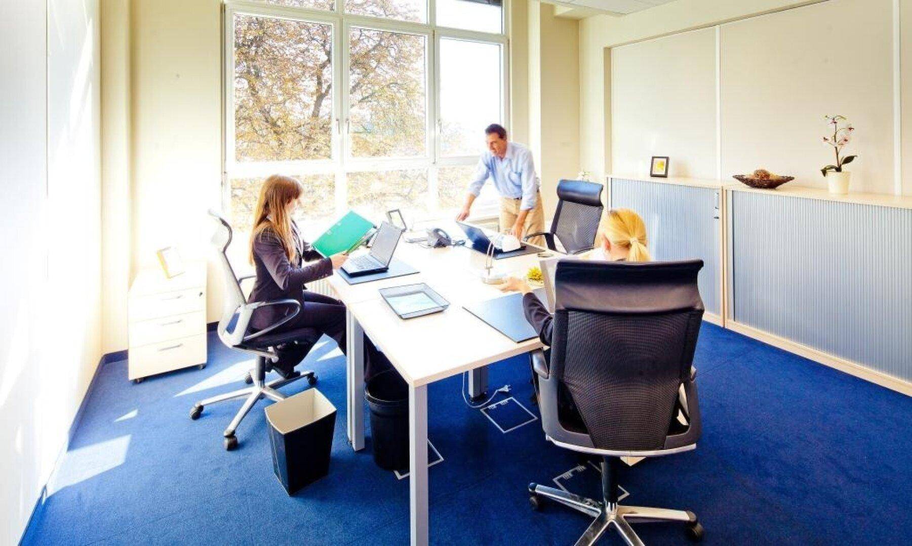Helles Büro mit drei Arbeitsplätzen, blauer Teppichboden und großen Fenstern mit Ausblick.