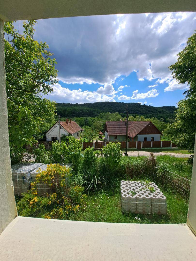 11. Blick auf die Strasse, den Wald