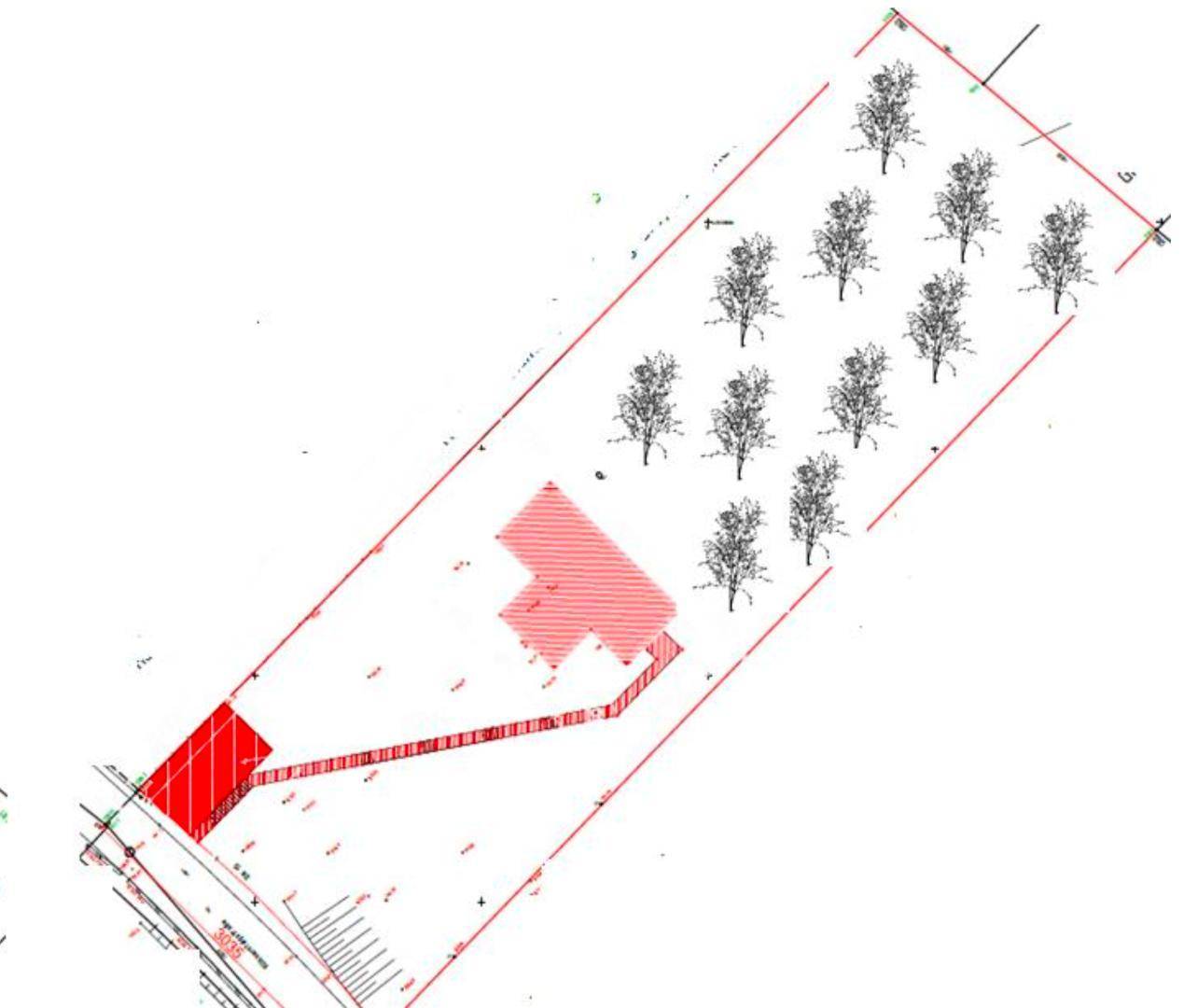 Lageplan des Grundstücks mit Gebäudegrundriss, Baumbestand und Zufahrtsbereich.