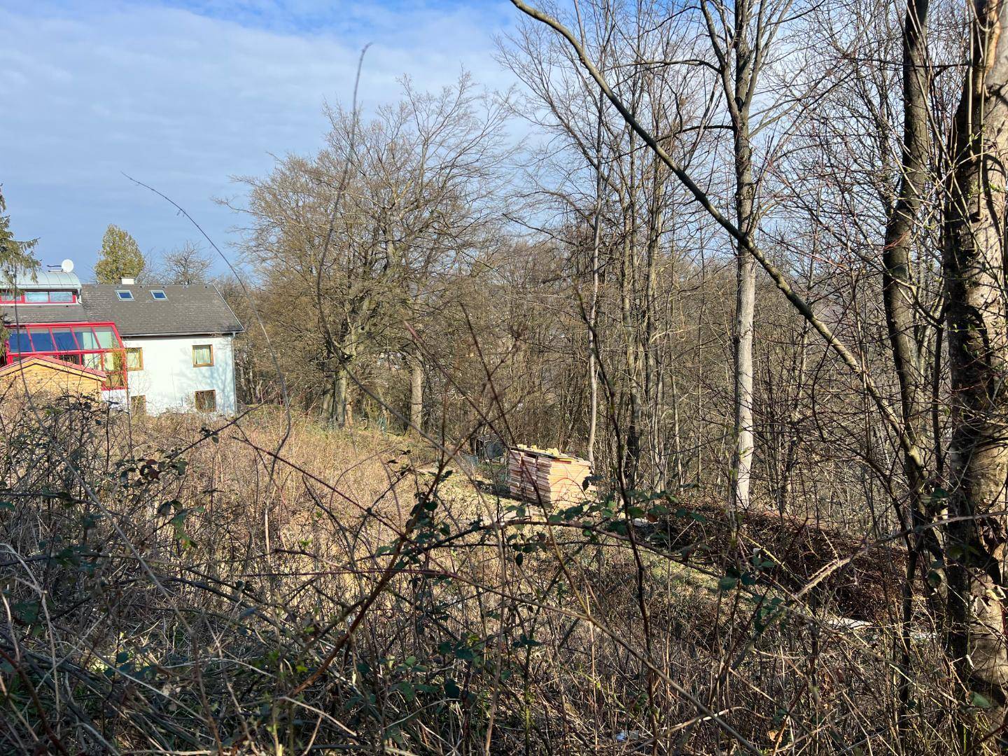 Wild bewachsenes Grundstück mit Blick auf ein Wohnhaus und die umliegende Natur.