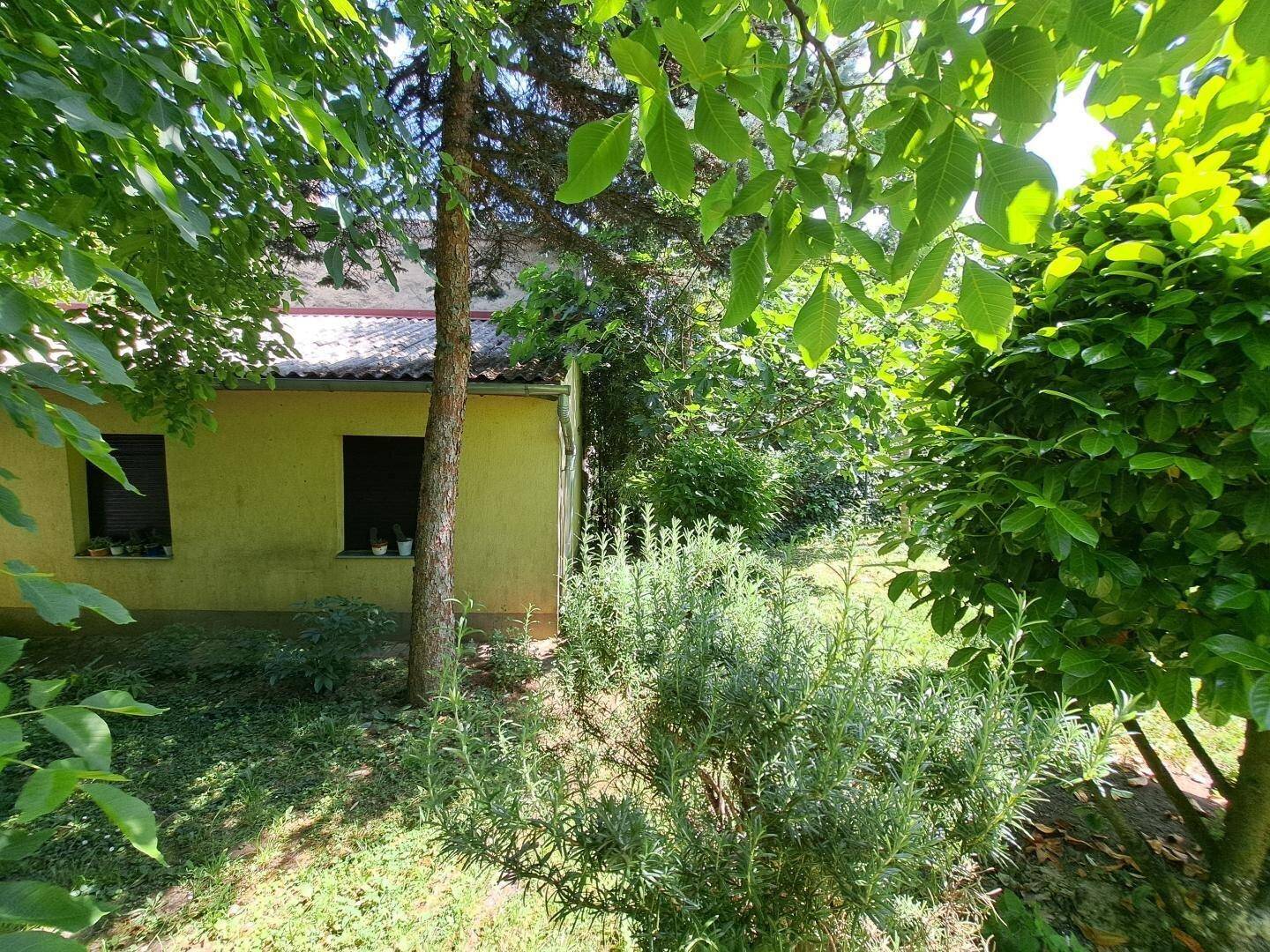 Seitlicher Blick auf das Haus und einen grünen Gartenbereich mit verschiedenen Sträuchern und Bäumen.