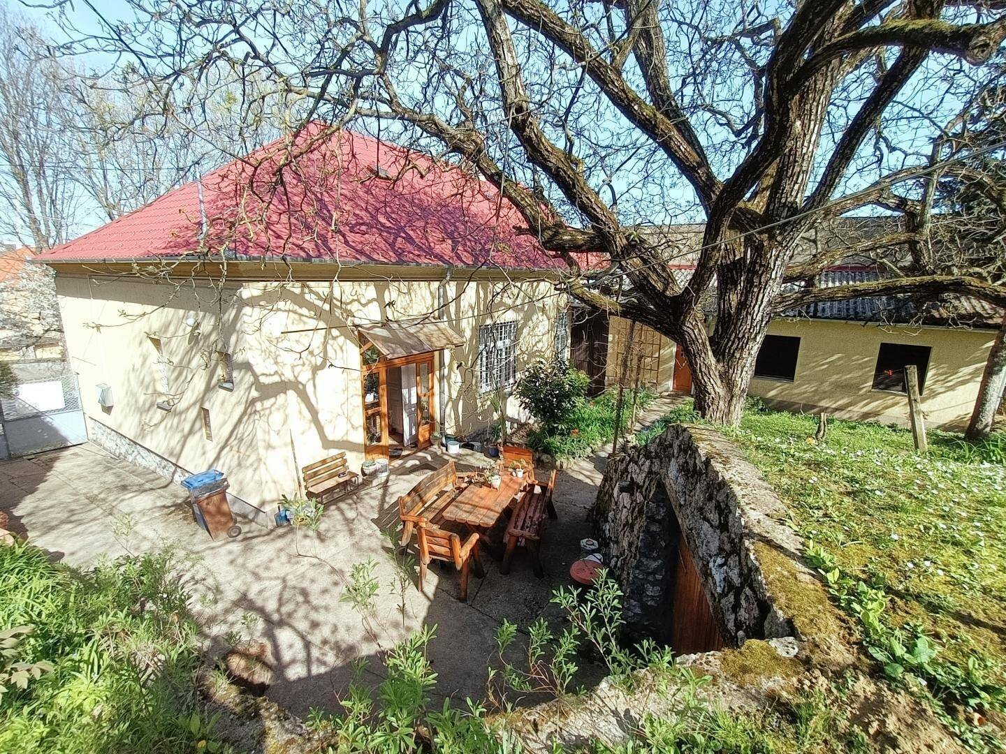 Gemütliche Terrasse mit Holztisch und Bänken unter einem großen, alten Baum neben dem Haus.