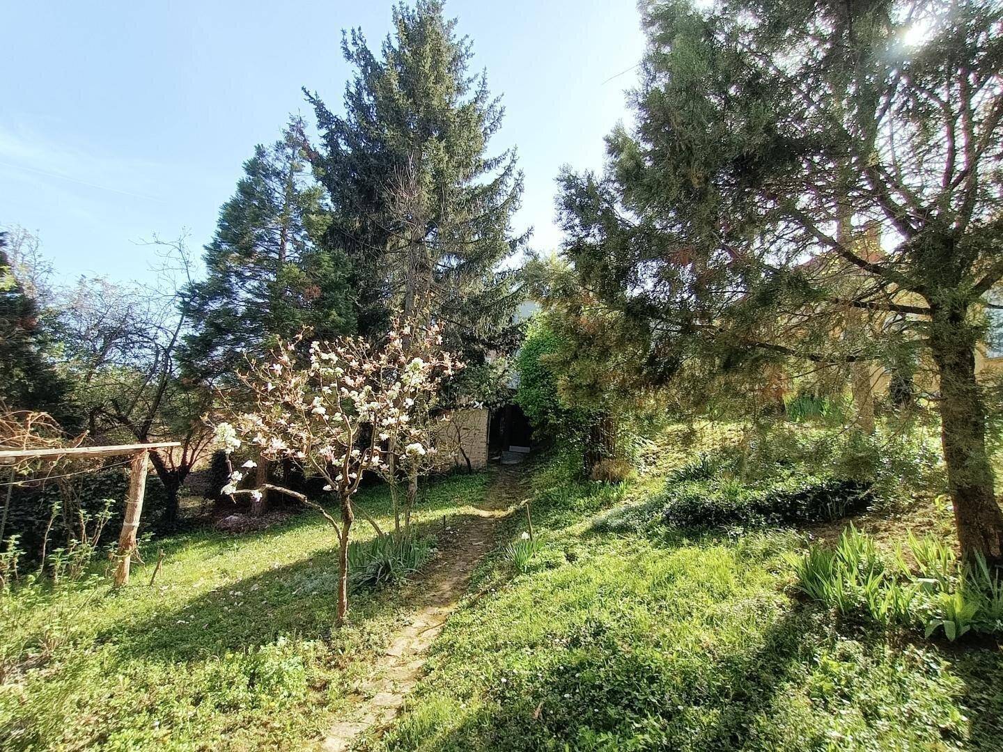 Grüner Gartenbereich mit einem kleinen Pfad, umgeben von Bäumen und blühenden Sträuchern.