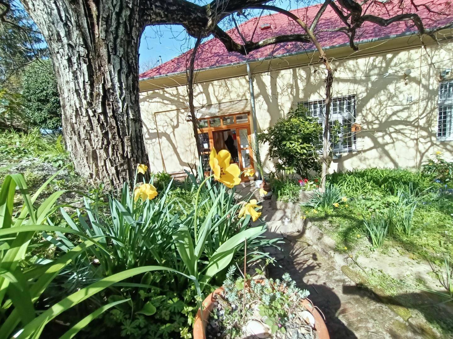 Eingangsbereich des Hauses, umgeben von blühenden Blumen und grünen Pflanzen im Garten.