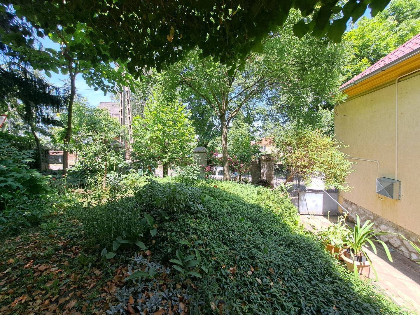 Üppiger, grüner Gartenbereich mit verschiedenen Pflanzen und Bäumen neben einer Hauswand.
