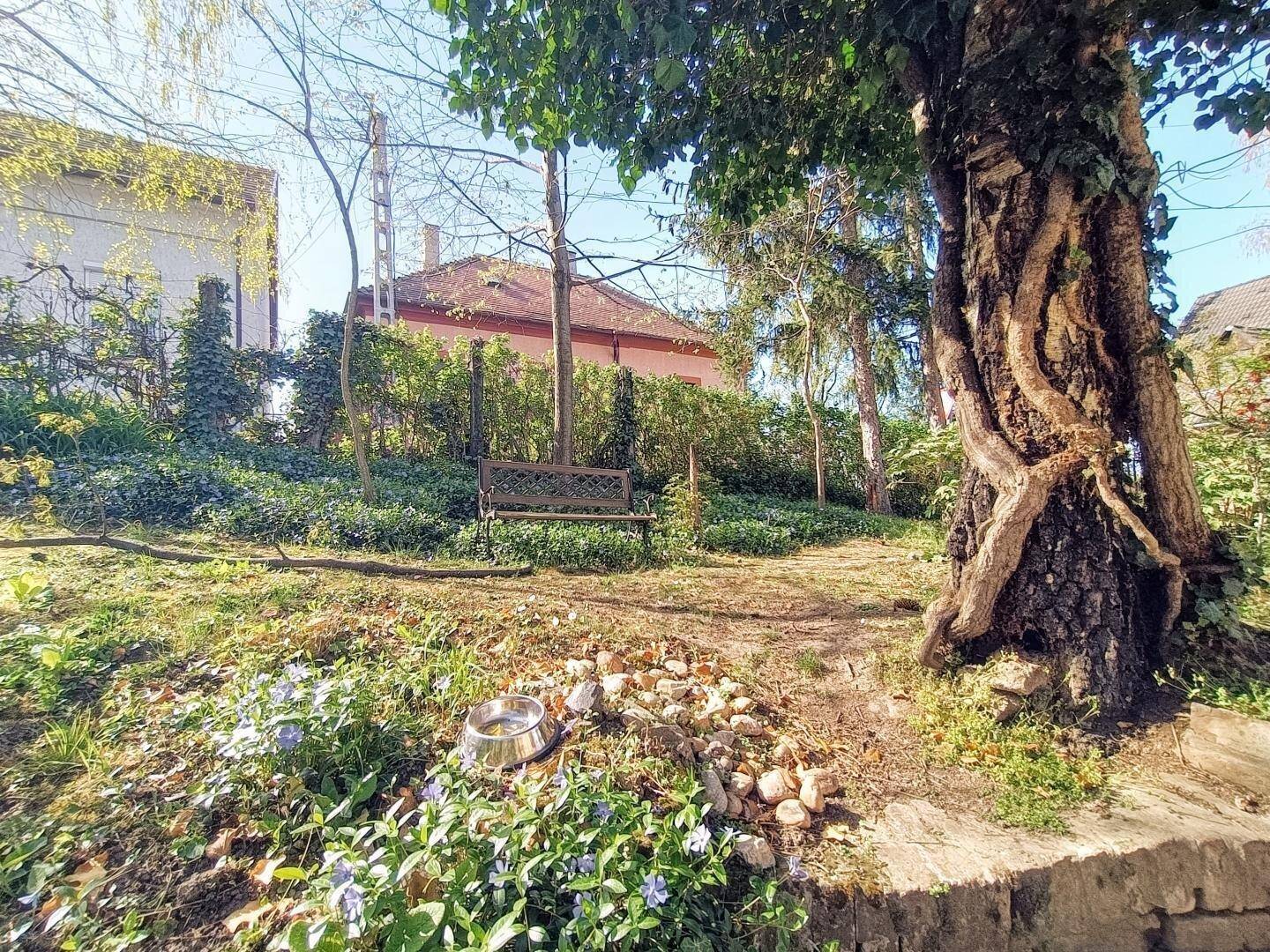 Ruhiger Gartenbereich mit einer Parkbank unter einem alten Baum und blühenden Pflanzen.