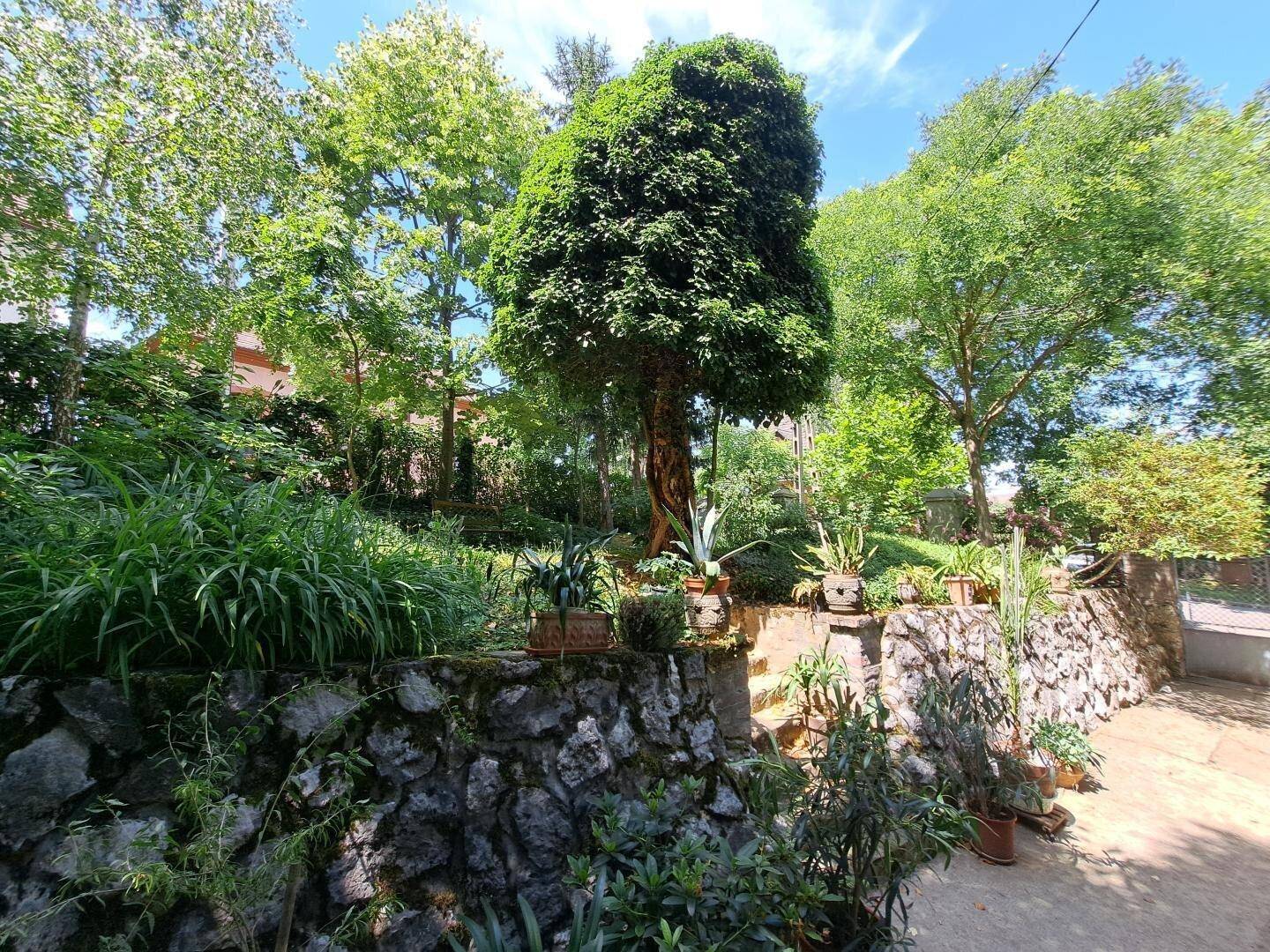 Terrassierter Gartenbereich mit einer rustikalen Steinmauer und verschiedenen Topfpflanzen.