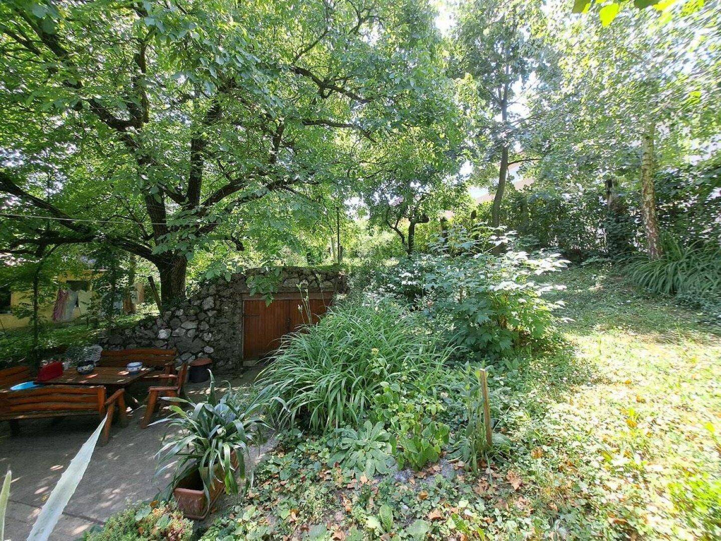 Üppiger Garten mit einem Essbereich im Freien, umgeben von grünen Pflanzen und einer Steinmauer.