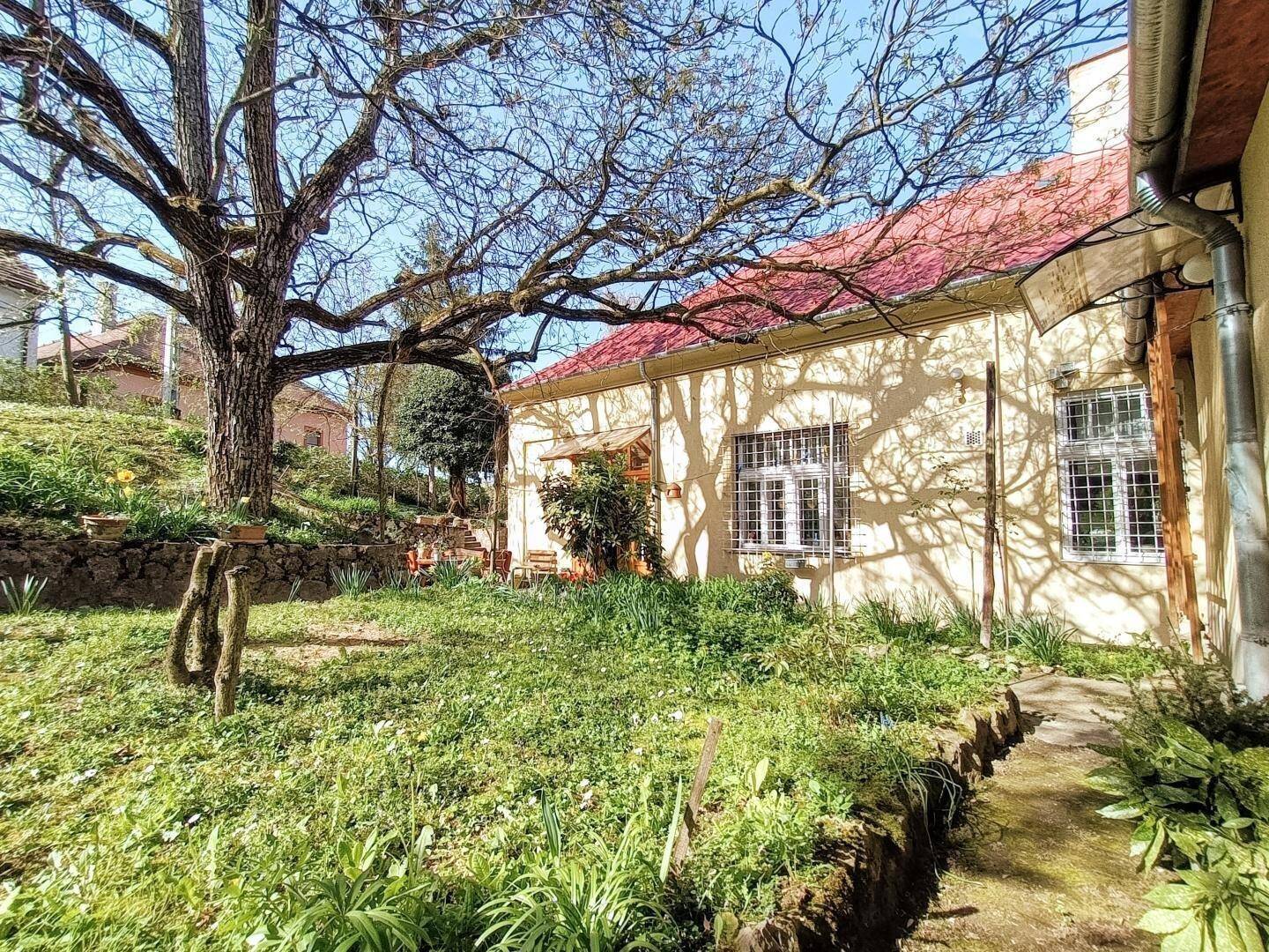 Großer Gartenbereich mit Rasen, einem imposanten alten Baum und der Seitenansicht des Hauses.