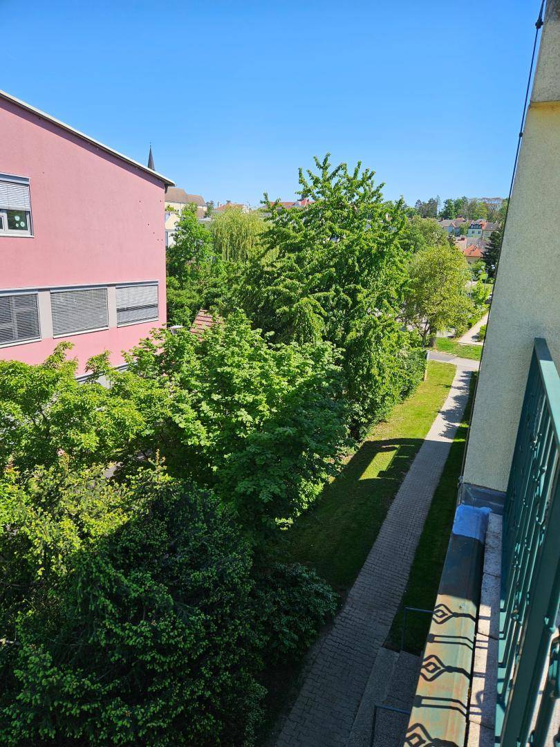 Ausblick von der Terrasse
