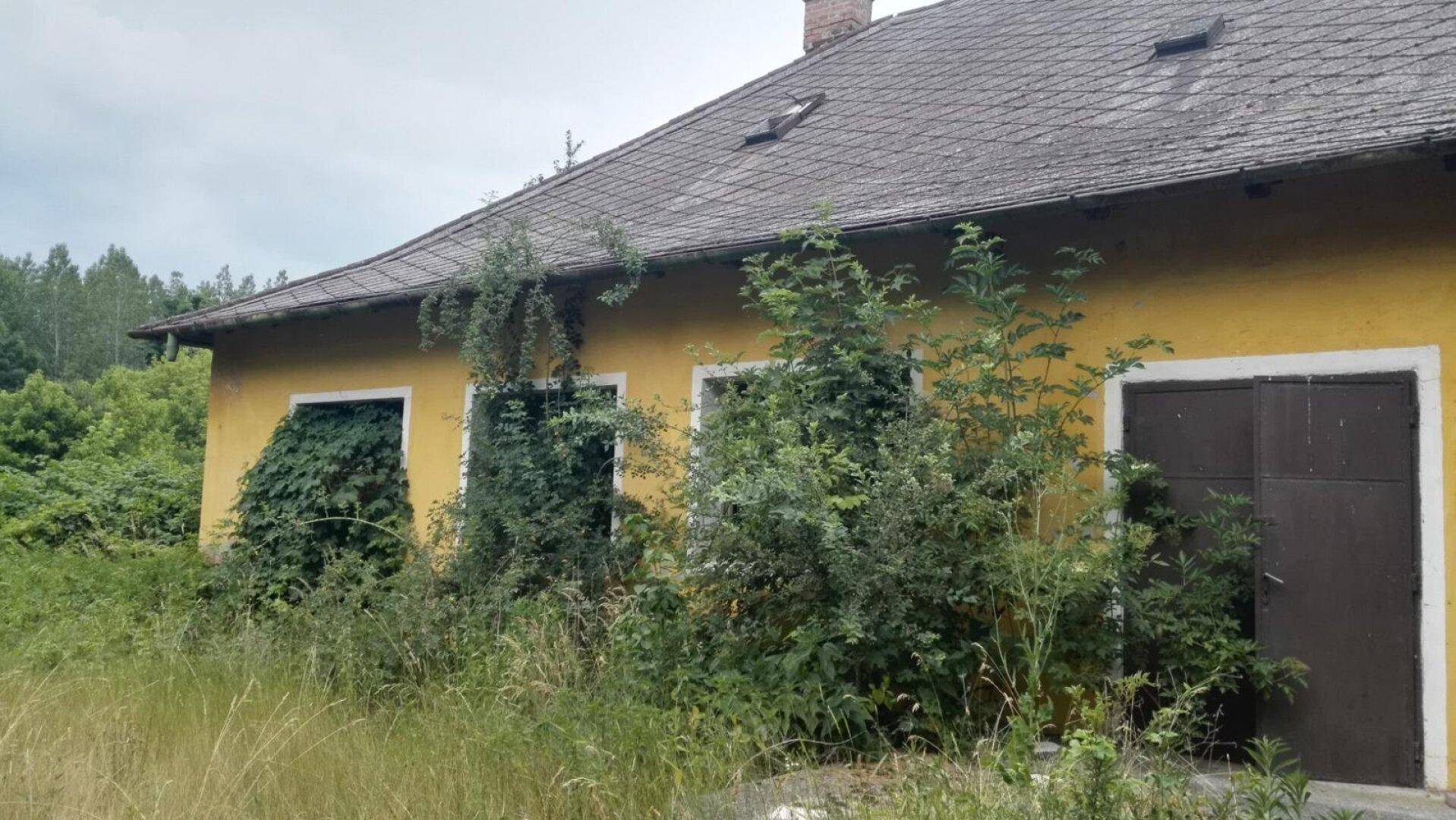 Altes, gelb verputztes Gebäude mit überwucherten Fenstern und einem grauen Ziegeldach unter bewölktem Himmel.