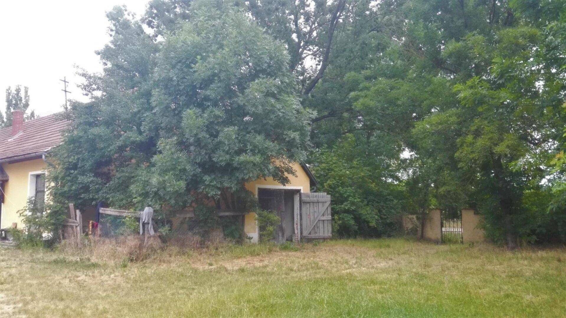 Altes, gelbes Gebäude mit Holztüren, umgeben von großen Bäumen und einer Wiese unter bewölktem Himmel.