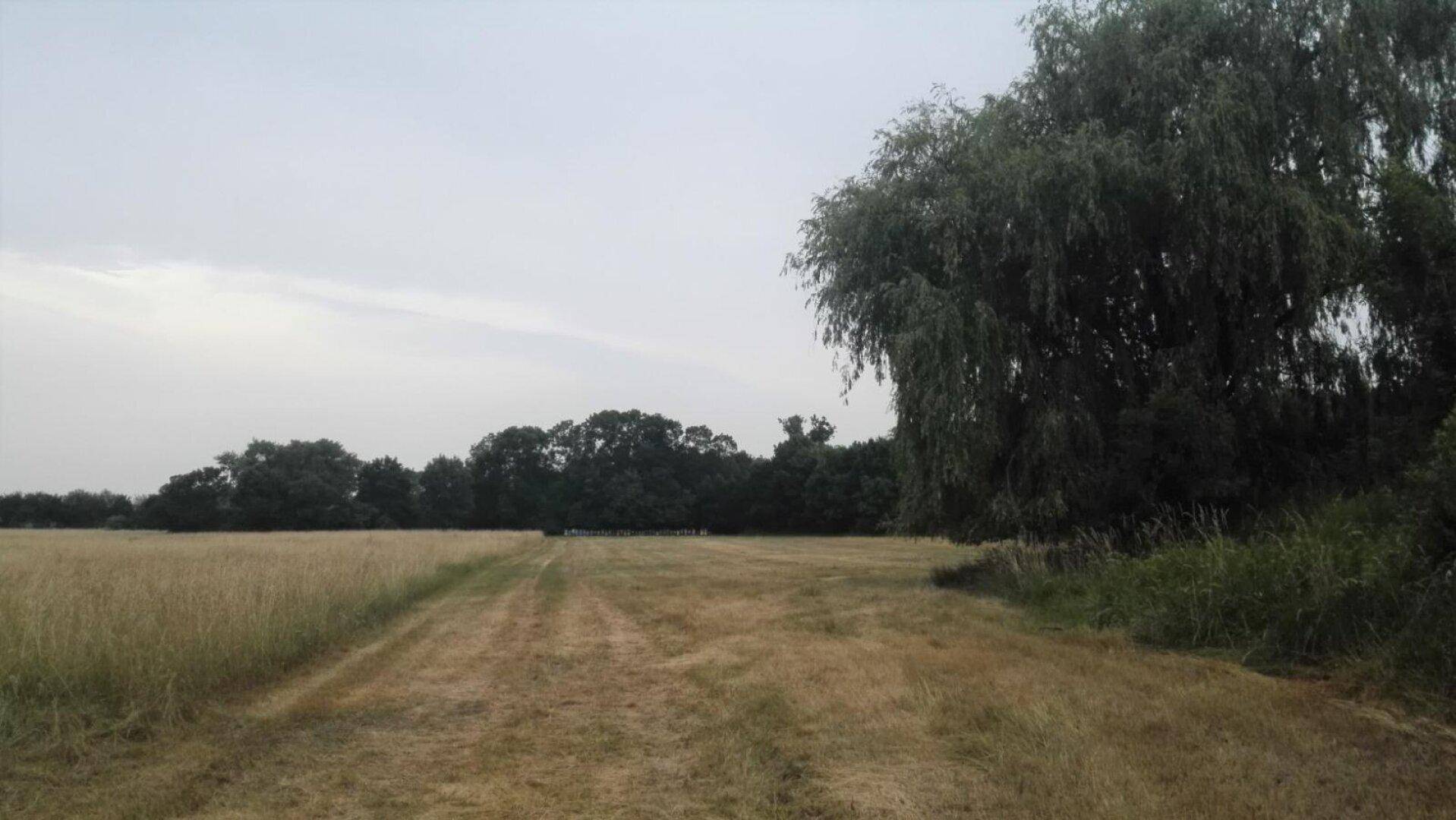 Weite, trockene Wiesenfläche mit einem Feldweg und Bäumen am Horizont unter einem bewölkten Himmel.