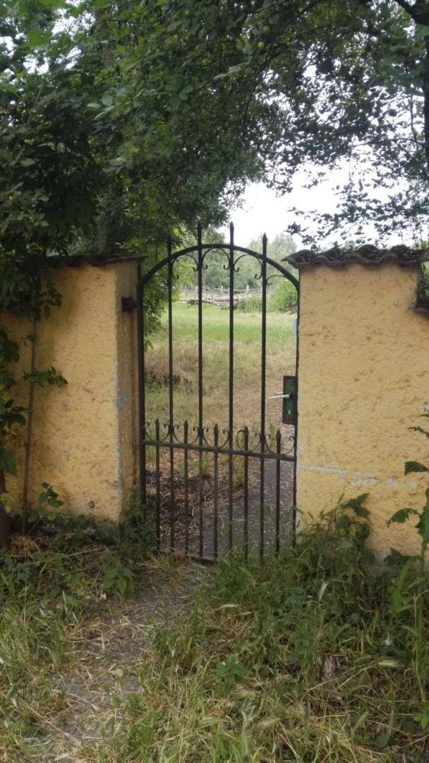 Ein altes, schmiedeeisernes Tor in einer gelben Mauer, umgeben von üppigem Grün und hohem Gras.