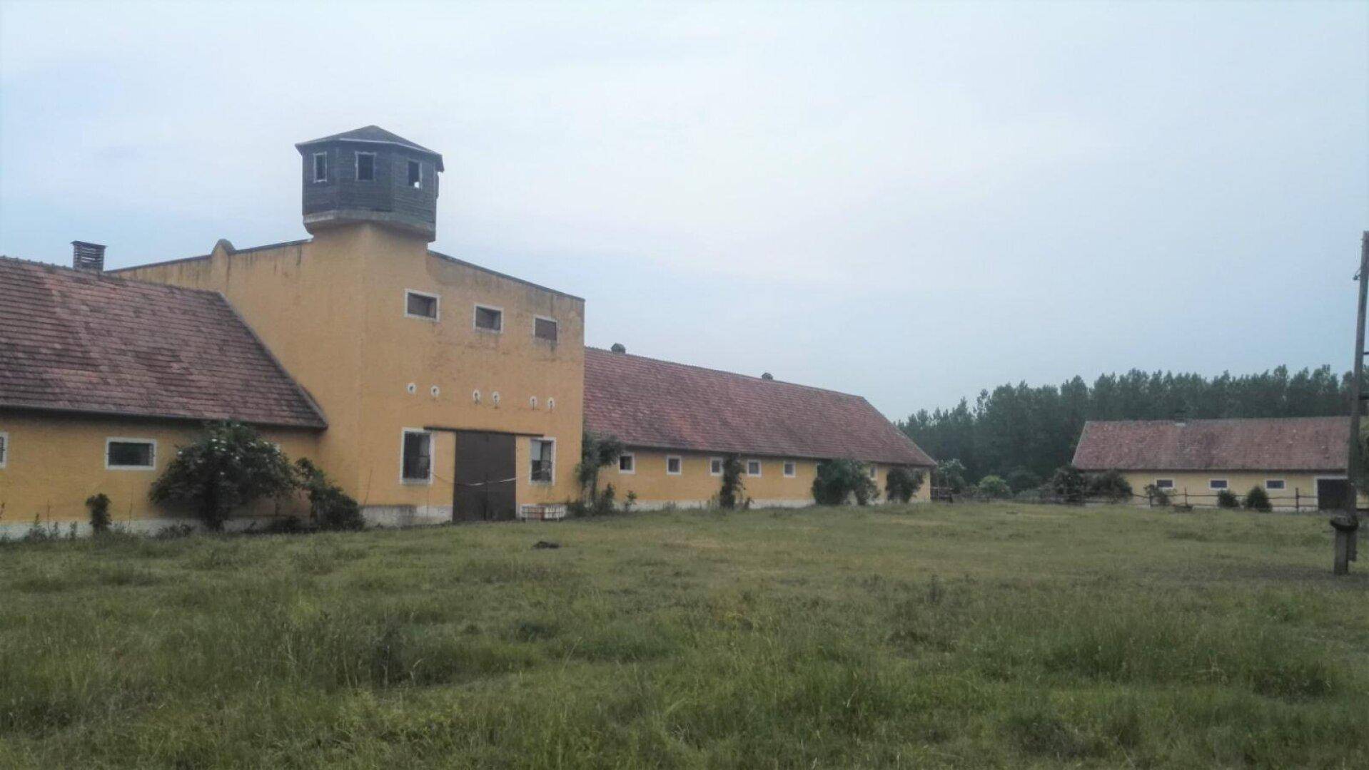 Mehrere alte, gelbe Gebäude mit roten Dächern und einem Turm auf einer weiten Wiese unter bewölktem Himmel.
