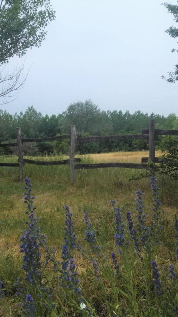 Ländliche Szene mit einem rustikalen Holzzaun, blühenden Pflanzen im Vordergrund und einem Wald im Hintergrund.