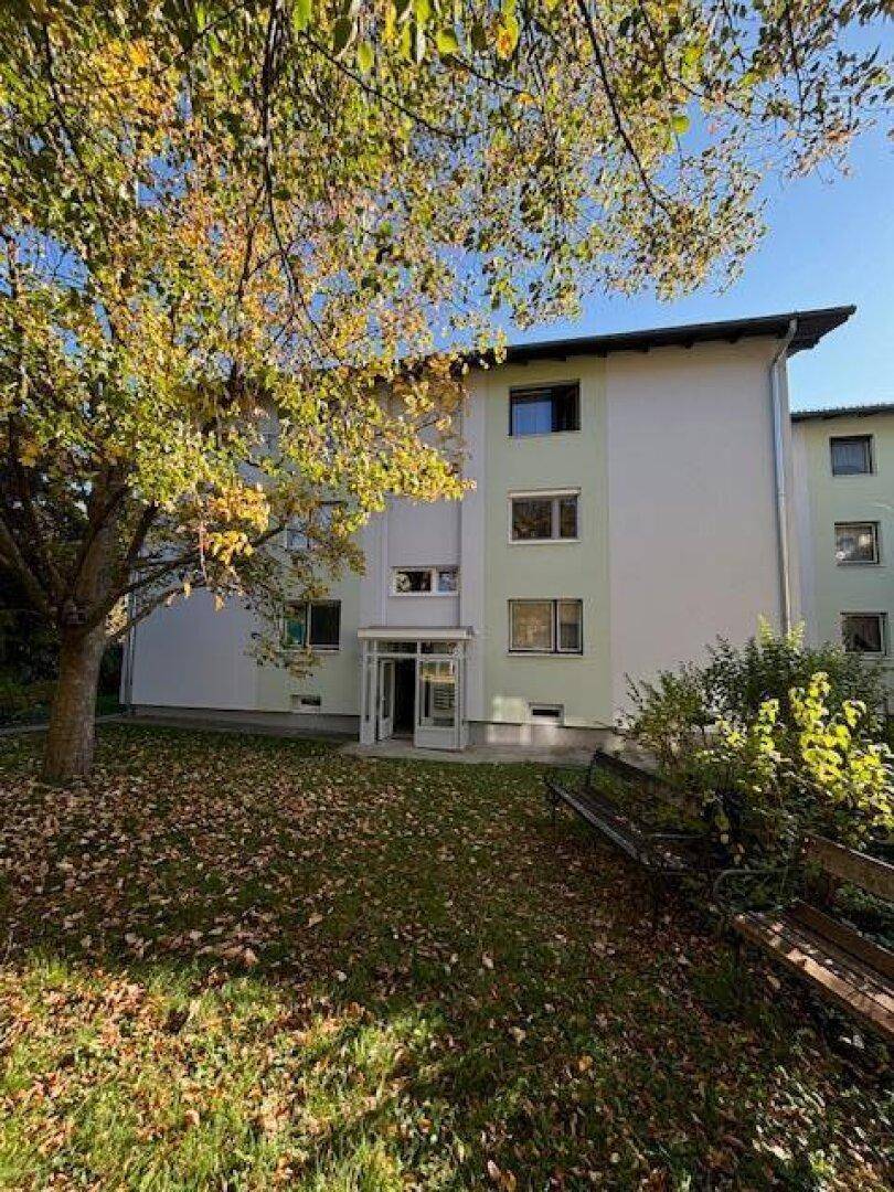 Fassade des Mehrfamilienhauses mit Bäumen und herbstlichem Laub im Vordergrund.