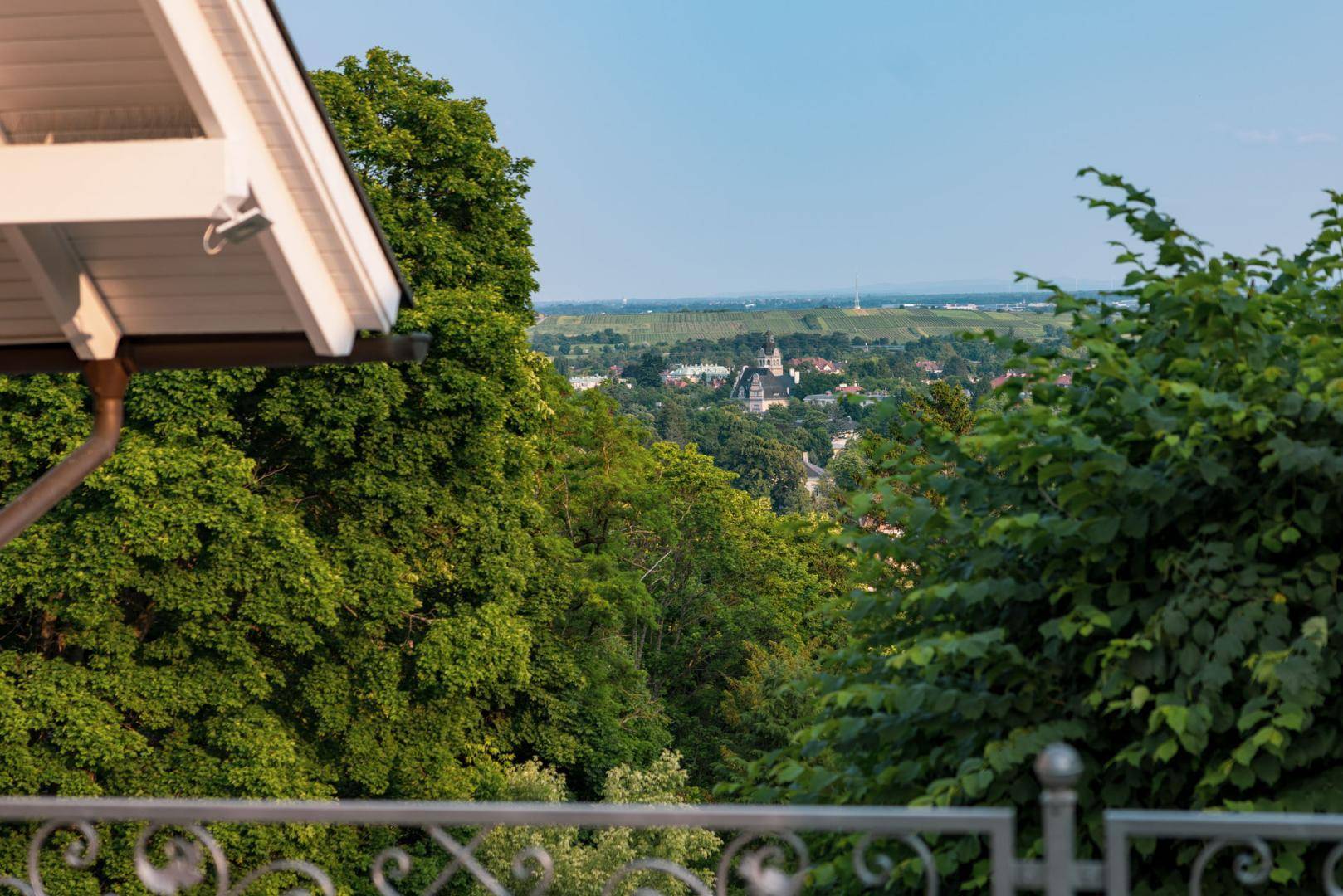 Ausblick