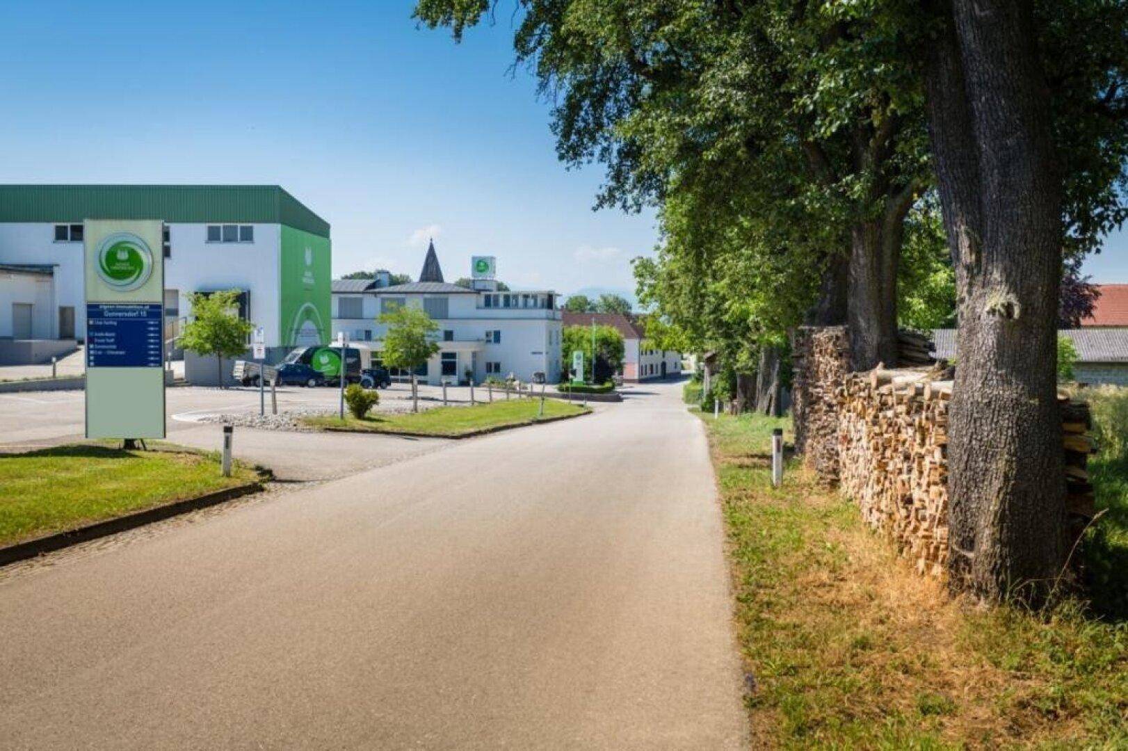 Blick auf das Gebäude von einer Zufahrtsstraße, gesäumt von Bäumen und einem Holzstapel am Wegesrand.