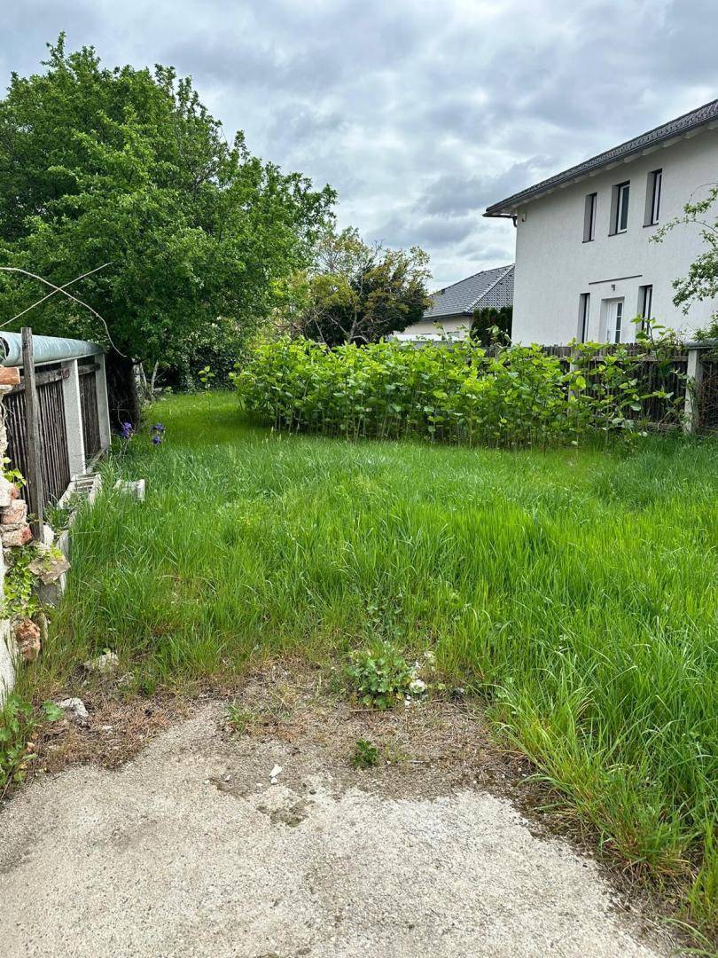 8 Garten