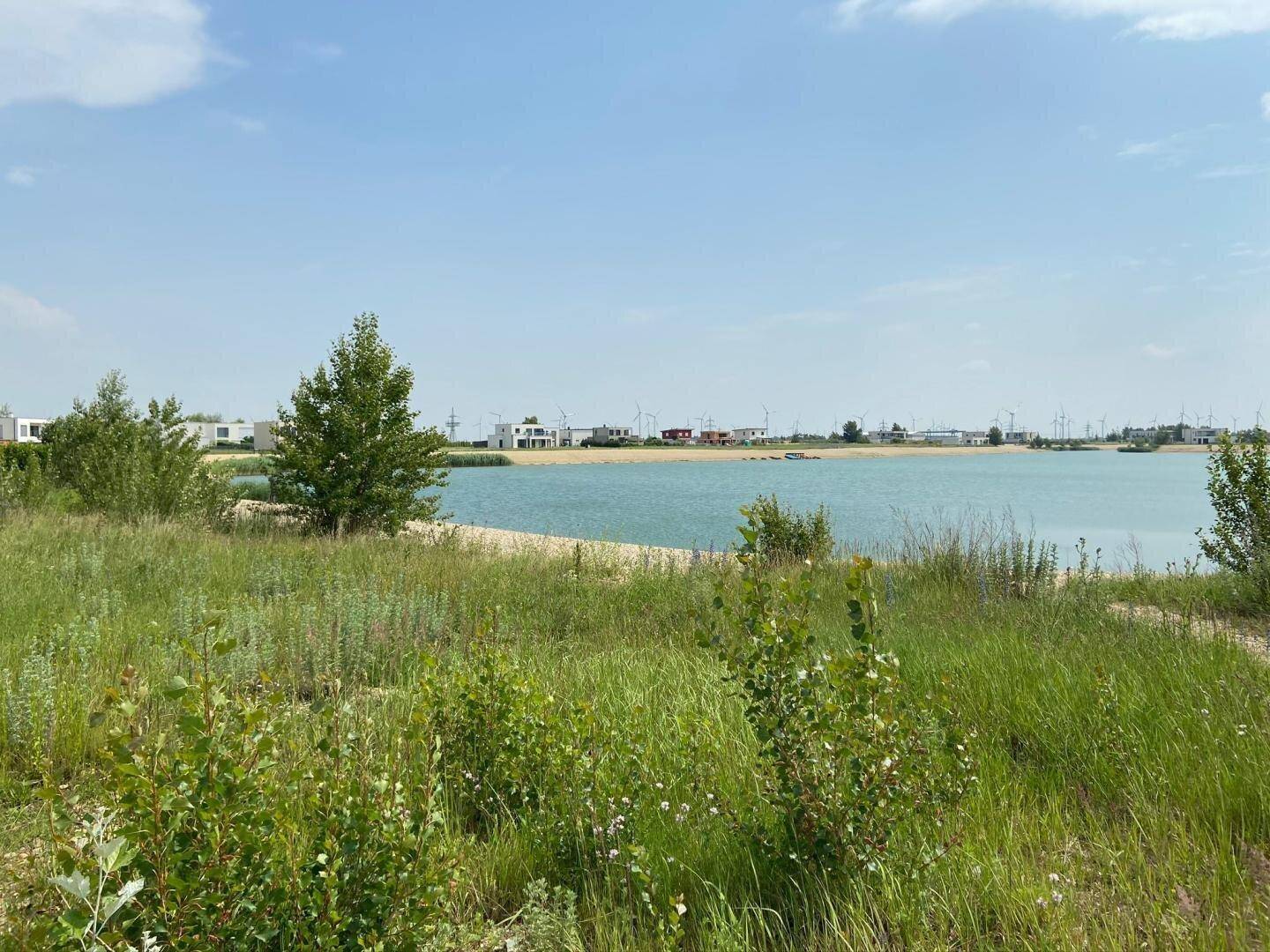Blick auf den See durch hohe Gräser und Büsche, mit modernen Häusern und Windrädern am Horizont.