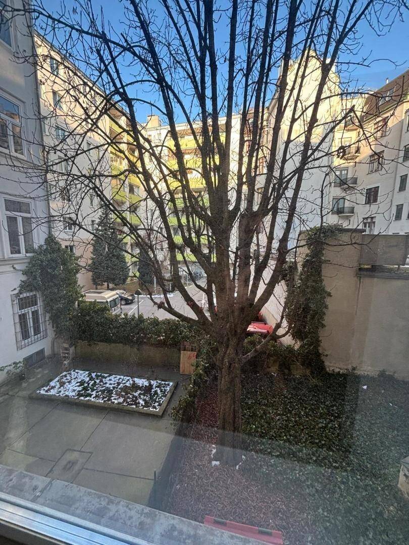 Blick aus dem Fenster auf einen Innenhof mit großem Baum und umliegenden Gebäuden.