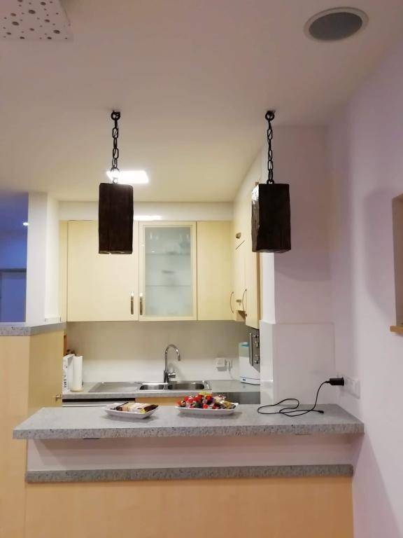 Küchenzeile mit Spüle und Arbeitsplatte, offen zum Wohnbereich mit Frühstücksbar.