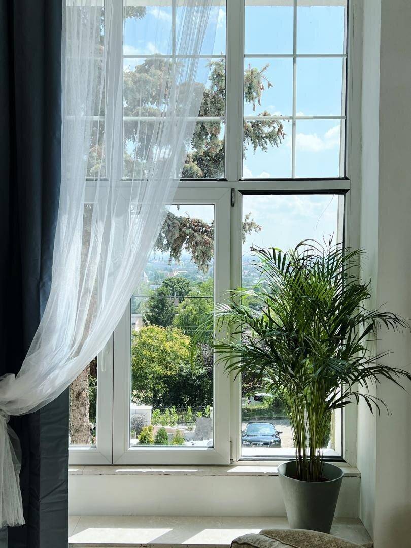 Großes Fenster mit Blick ins Grüne, das viel natürliches Licht in den Raum lässt.