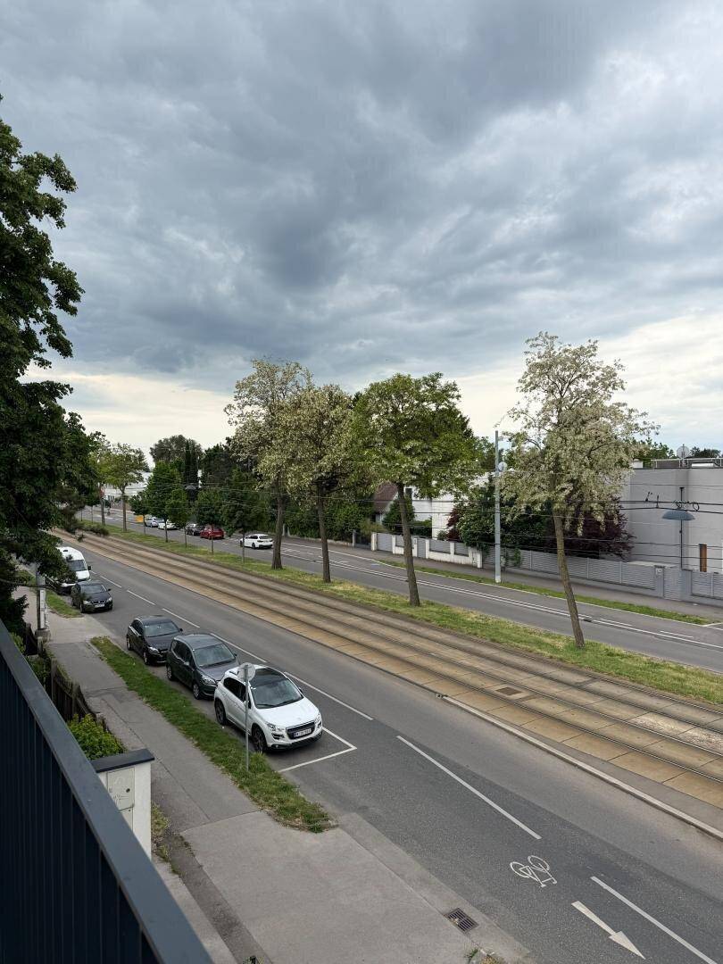Blick von oben auf eine belebte Straße mit Bäumen und parkenden Autos.