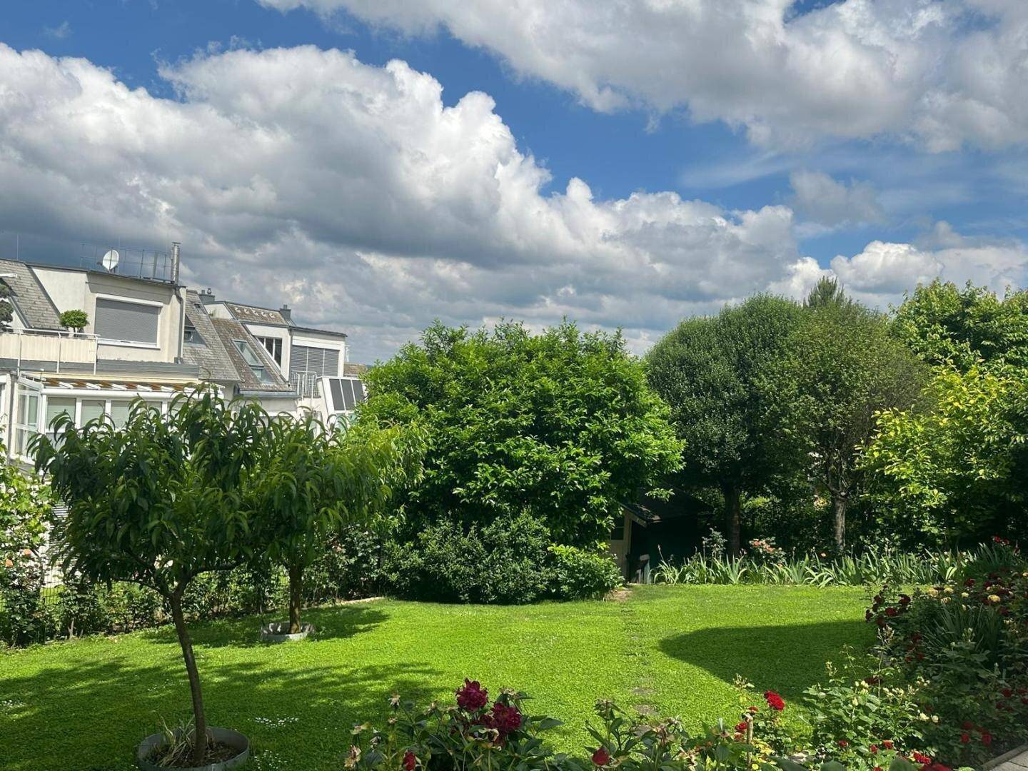 Grüner Garten mit verschiedenen Bäumen und Sträuchern, unter einem bewölkten Himmel.