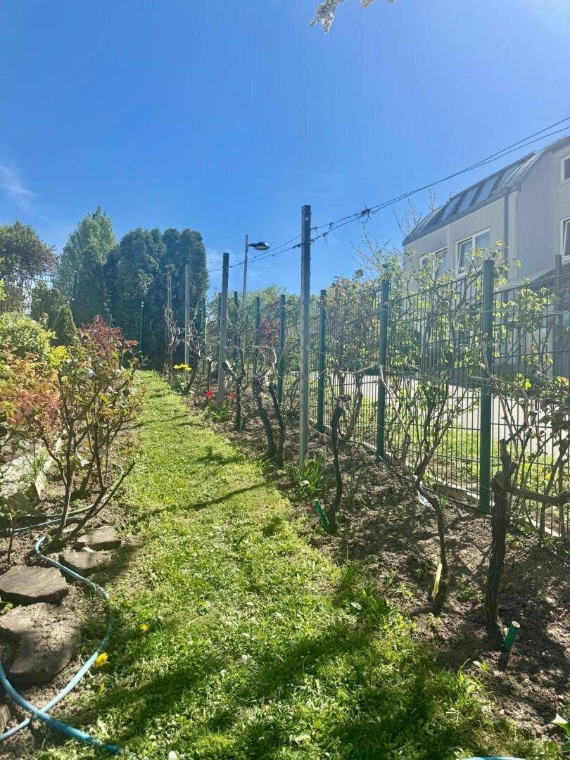 Gartenbereich mit Rebstöcken und Spalieren, umgeben von Grün und einem Wohnhaus.