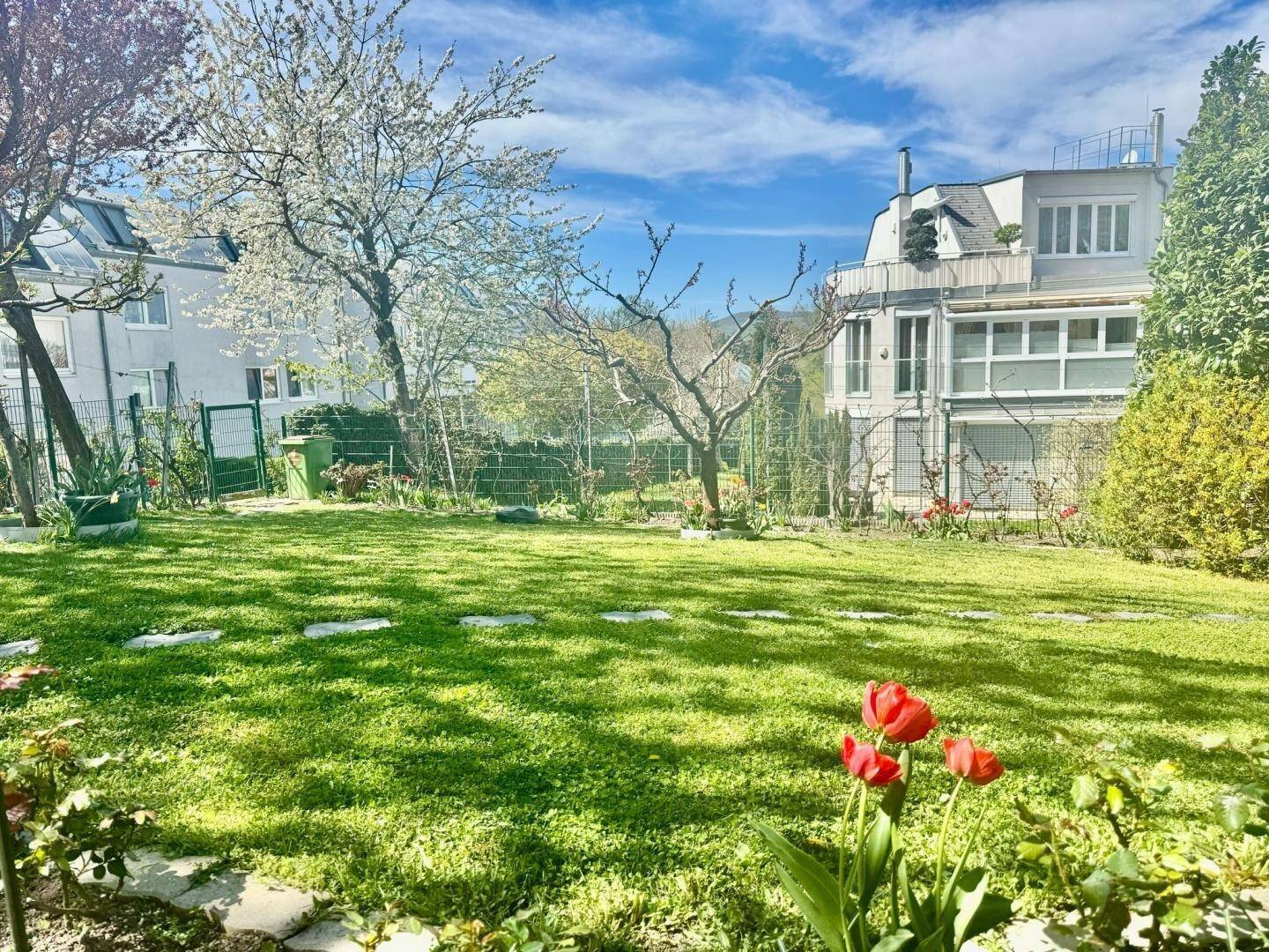 Sonniger Garten mit weitläufiger Rasenfläche, blühenden Tulpen und einem Wohnhaus im Hintergrund.
