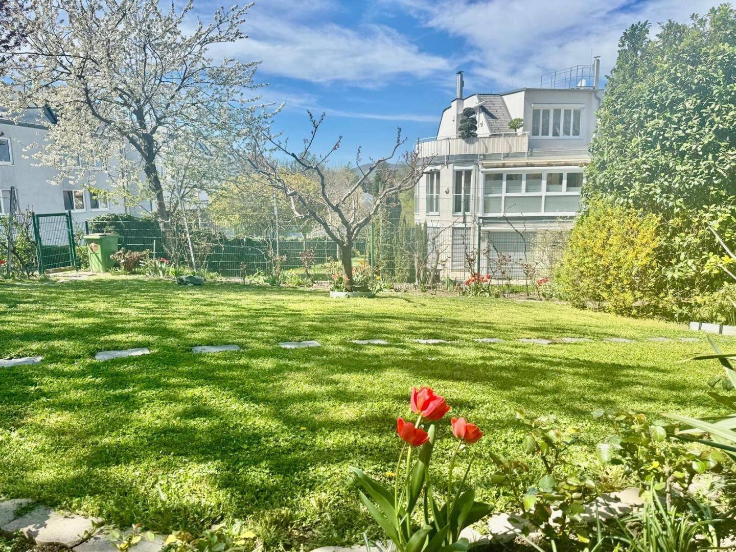 Sonniger Garten mit weitläufiger Rasenfläche, blühenden Tulpen und einem Wohnhaus im Hintergrund.