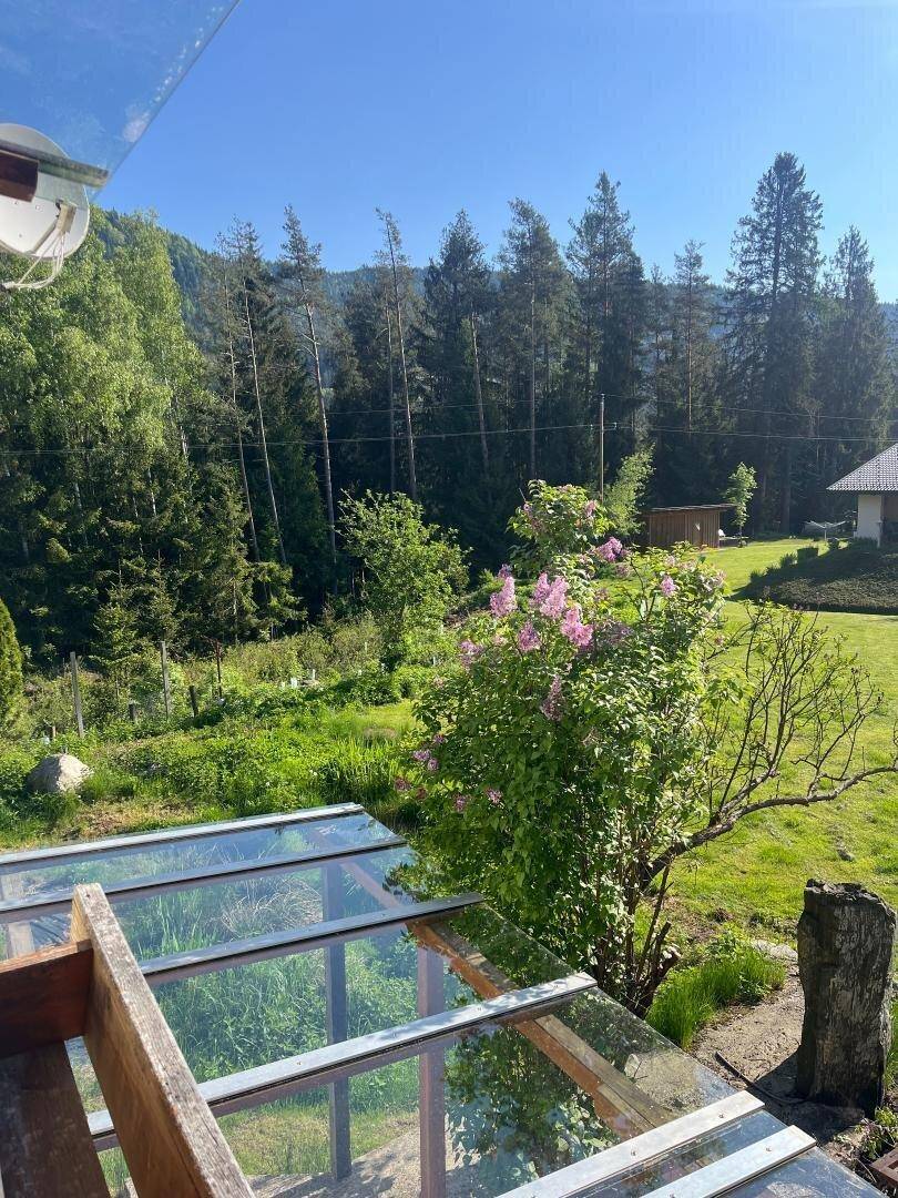 Blick über ein Gewächshaus auf eine weite Landschaft mit dichten Wäldern und Bergen unter blauem Himmel.