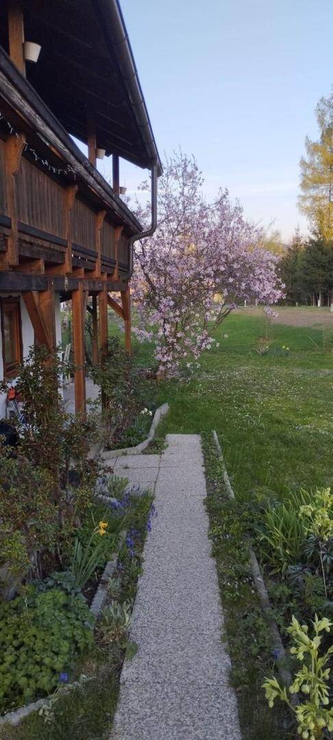 Seitenansicht des Hauses mit Holzveranda, Steinweg und blühendem Baum im Garten.