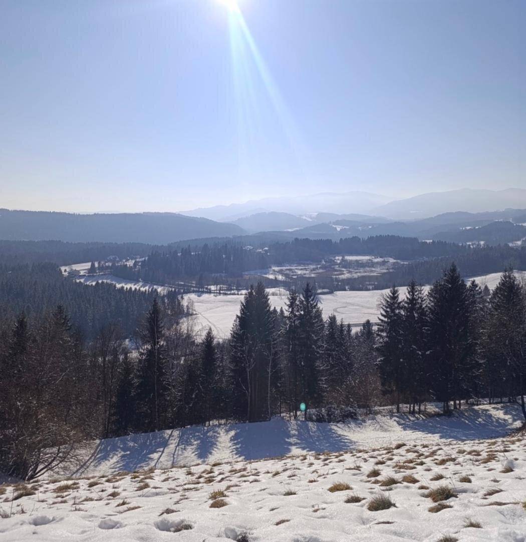Winterlandschaft mit verschneiten Hügeln, Nadelbäumen und Bergen im Hintergrund unter strahlender Sonne.